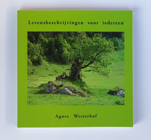 20221026_163406 20221026_163406